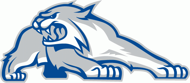 New Hampshire Wildcats 2000-Pres Alternate Logo v2 iron on transfers for clothing